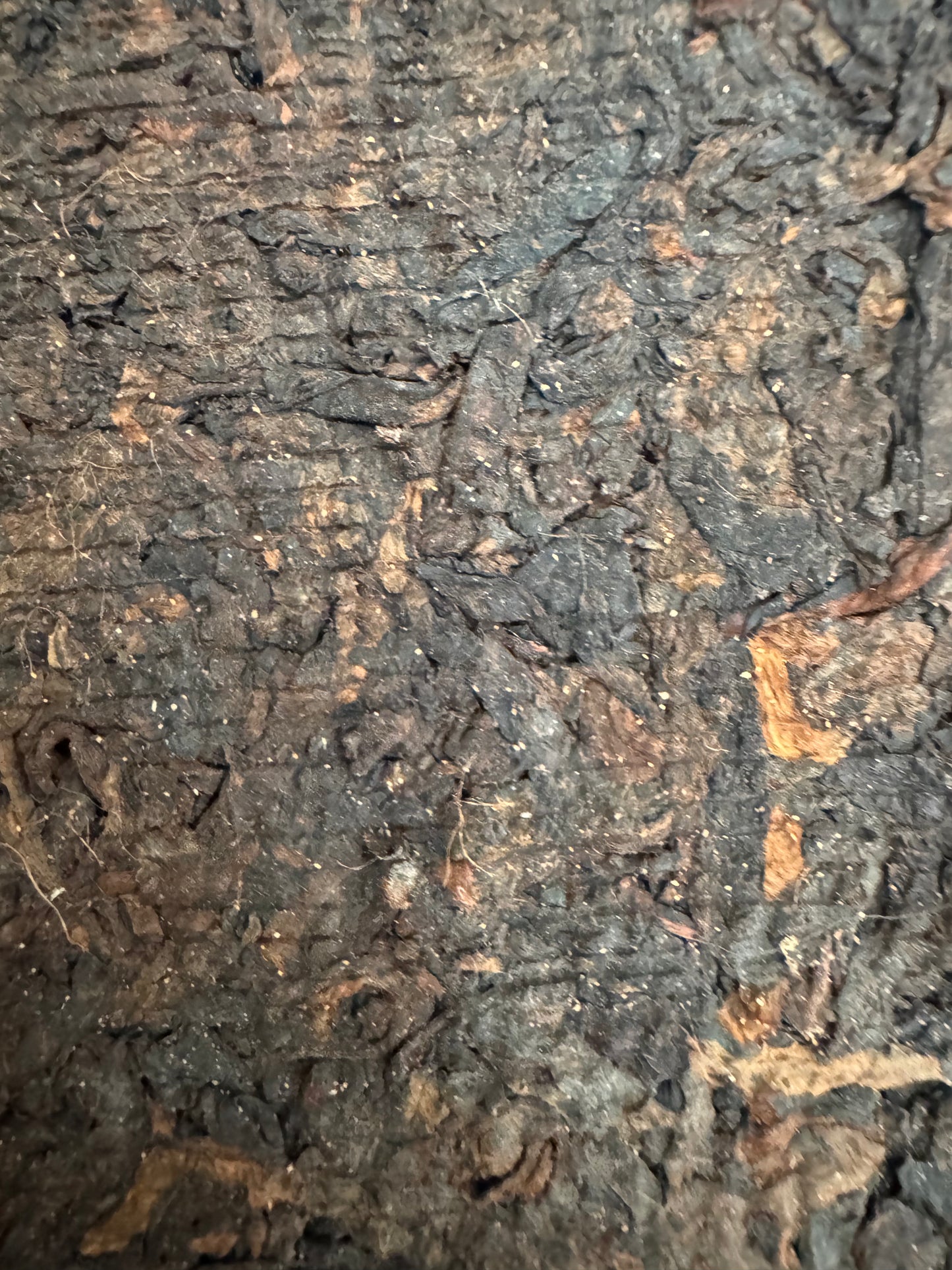 Aged Puer Brick 2005, Temple Garden Tea House